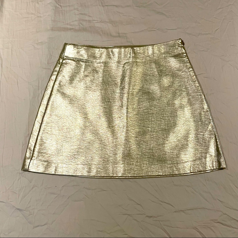 Zara Mini Skirt